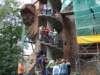 dscf1388_small.jpg