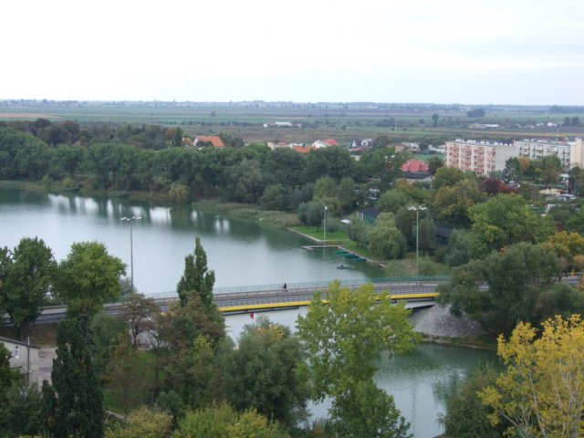 dscf1397.jpg