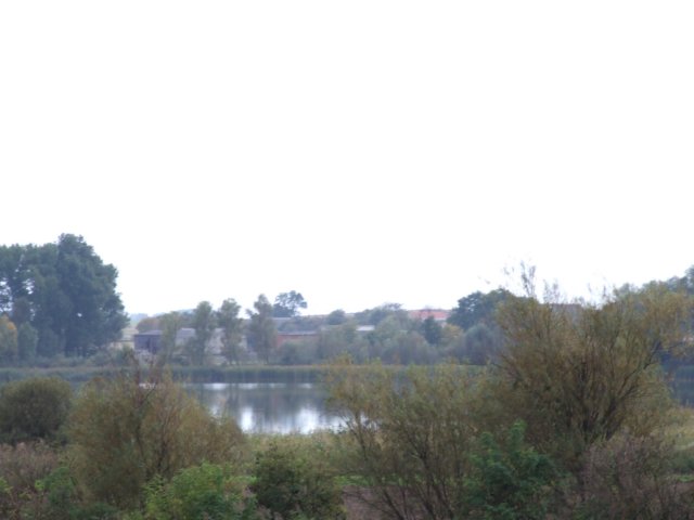 dscf1450.jpg