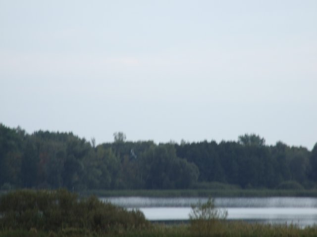 dscf1451.jpg