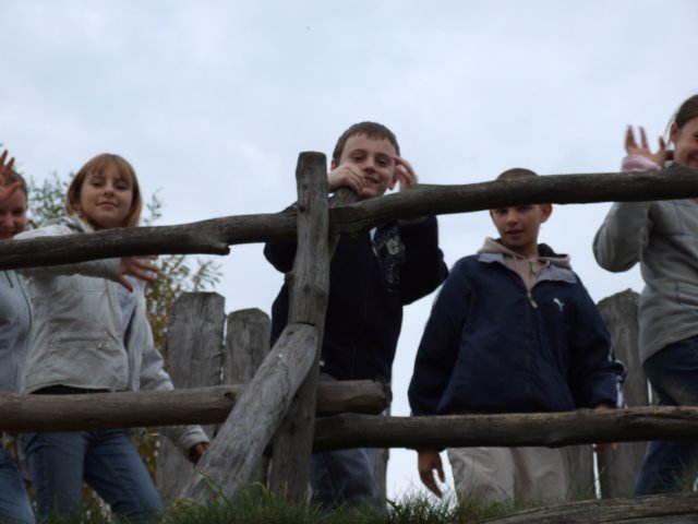 dscf1482.jpg