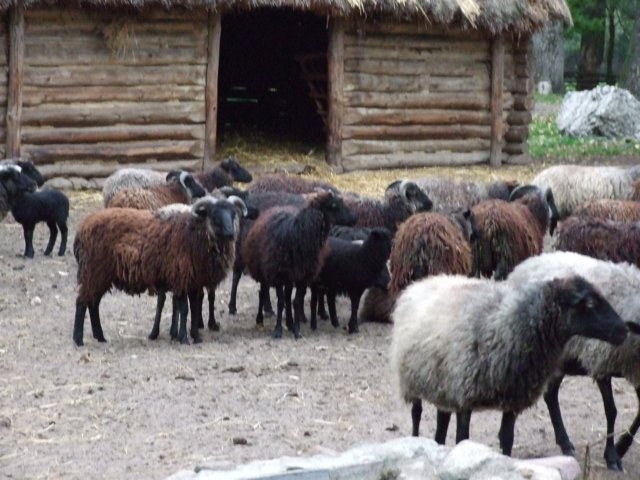 dscf1493.jpg