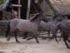 dscf1496_small.jpg