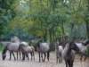 dscf1497_small.jpg