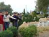 dscf1547_small.jpg