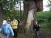 dscf1617_small.jpg