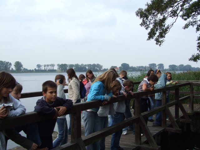 dscf1619.jpg