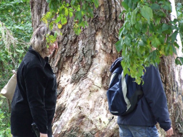 dscf1622.jpg