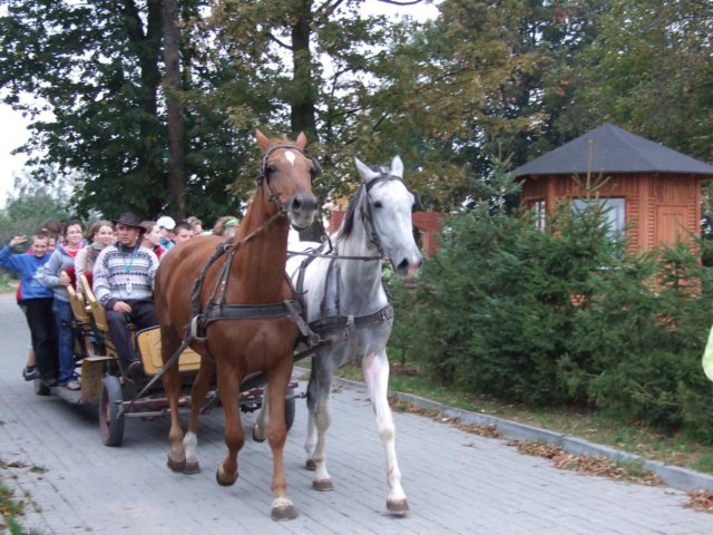 dscf1647.jpg