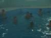dscf1669_small.jpg