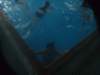 dscf1676_small.jpg
