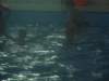 dscf1678_small.jpg