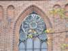 dscf1760_small.jpg