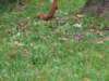 wycieczka066_small.jpg