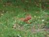 wycieczka067_small.jpg