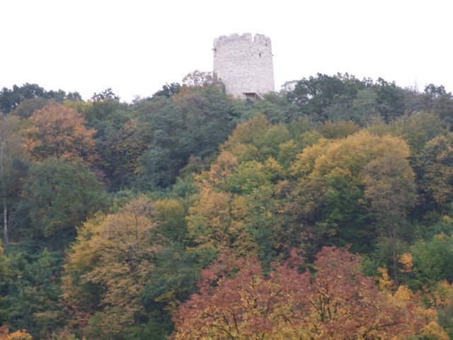wycieczka118.jpg