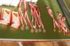 dscf2578_small.jpg