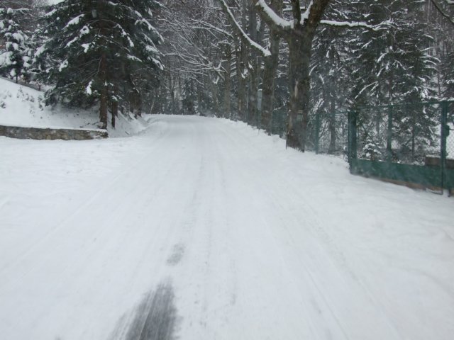 dscf4970.jpg