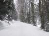 dscf4971_small.jpg