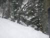 dscf4972_small.jpg