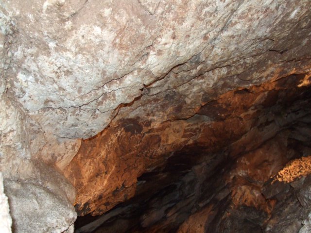 dscf4981.jpg