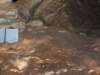 dscf4987_small.jpg