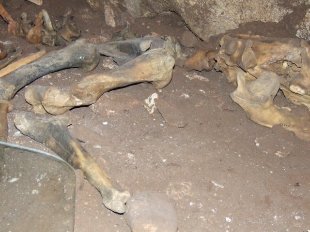 dscf4988.jpg