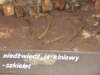 dscf4989_small.jpg