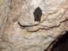 dscf4990_small.jpg