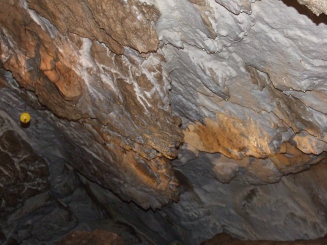 dscf4993.jpg