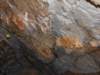 dscf4993_small.jpg