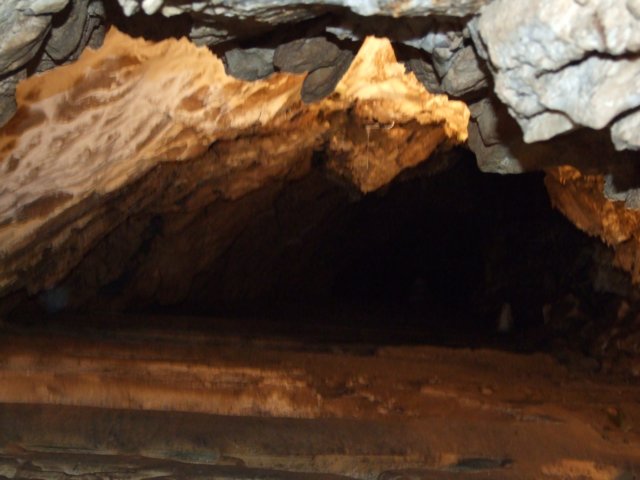 dscf4994.jpg