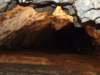 dscf4994_small.jpg