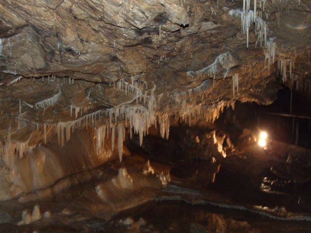 dscf5001.jpg