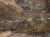 dscf5004_small.jpg