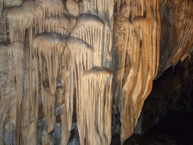 dscf5005.jpg