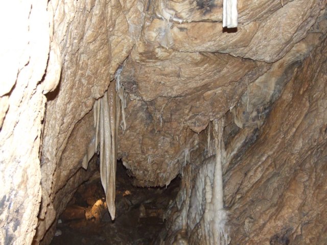 dscf5007.jpg