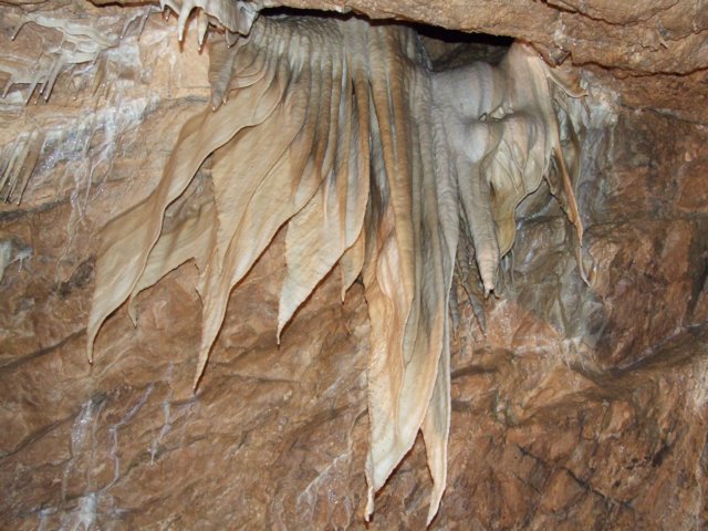 dscf5009.jpg