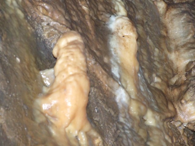 dscf5016.jpg