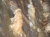 dscf5016_small.jpg