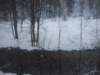 dscf5027_small.jpg