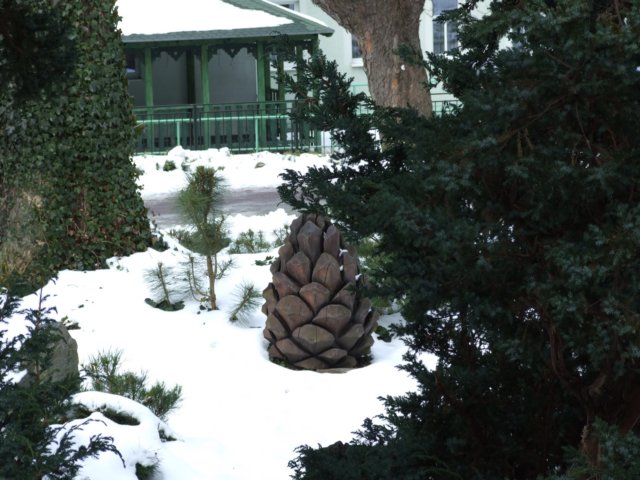 dscf5041.jpg