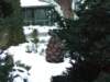 dscf5041_small.jpg