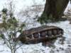 dscf5049_small.jpg