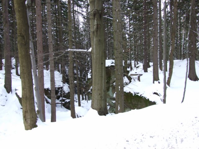 dscf5106.jpg