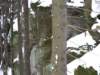 dscf5107_small.jpg