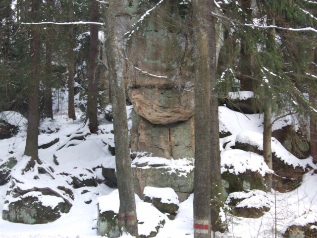 dscf5108.jpg