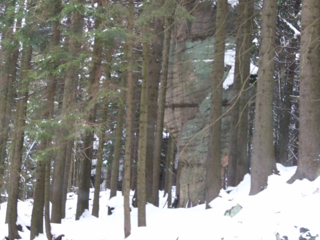dscf5110.jpg