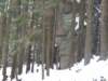 dscf5110_small.jpg
