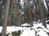 dscf5111_small.jpg